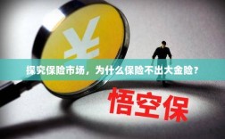 探究保险市场，为何缺乏大额保险金险种？