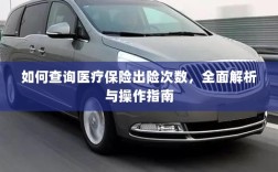 医疗保险出险次数查询指南，全面解析与操作指南