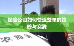 保险公司签单策略，实践快速签单策略的方法与技巧