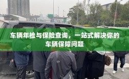 一站式解决车辆保障问题，车辆年检与保险查询服务整合