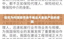 探究保险市场未推出大金险产品的原因分析