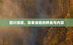 四川保险，探索保险种类与内容的全面解析