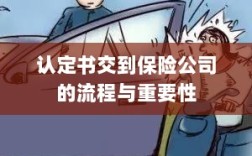 认定书交到保险公司的流程及其重要性概述