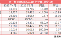 新汽车市场风云变幻，小米销量突破10万辆，多品牌销量环比回落