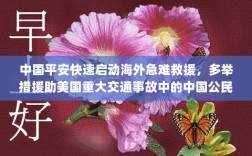 中国平安迅速响应海外救援，全力支援美国重大交通事故中的中国公民
