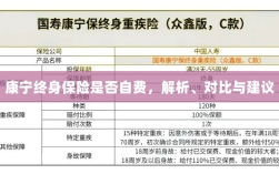 康宁终身保险自费问题解析与建议，深度对比与明智选择