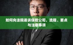 追诉保险公司流程及要点解析，法院途径、注意事项全解析