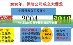 TAC保险公司在中国的崛起与蓬勃发展之路