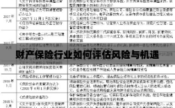 财产保险行业风险与机遇的评估策略