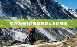 大金险在保险市场难觅踪迹的探究