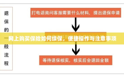 网上保险续保攻略，便捷操作及注意事项