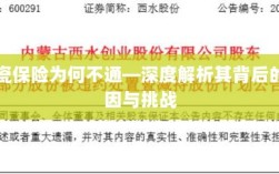 陶瓷保险为何不通，深度探究背后的原因与挑战