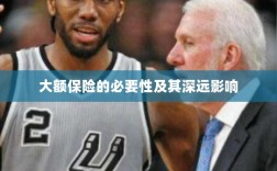 大额保险的必要性及其深远影响探讨