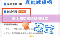 网上购买保险的续保指南