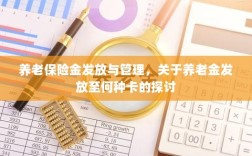 养老保险金发放与管理，关于养老金发放至哪种卡的深度探讨