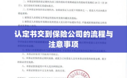 认定书交到保险公司的流程详解及注意事项提醒