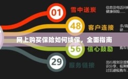网上购买保险的续保指南，全面解析保险续保流程