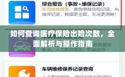 医疗保险出险次数查询指南，全面解析与操作指南