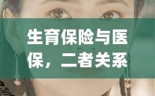 生育保险与医保的关系深度探讨与解析