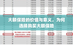 大额保险的价值与意义，为何选择购买及其重要性