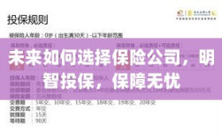未来如何选择保险公司，明智投保策略，无忧保障启程