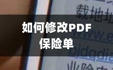 PDF保险单修改指南