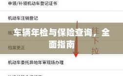 车辆年检与保险查询，全面指南解析
