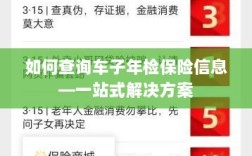 一站式查询，车辆年检与保险信息指南