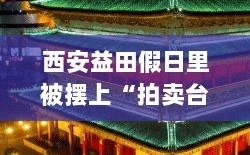 西安益田假日里遭拍卖风波揭秘