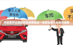 如何明智选择汽车保险策略，保障全面且保费实惠的保险推荐