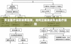 失业医疗保险缴费详解，正确缴纳失业医疗保险的步骤与指南