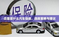 出国购车保险指南，选择策略与建议