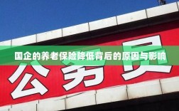 国企养老保险降低背后的原因及其影响分析