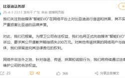比亚迪起诉自媒体智能EVO，索赔200万