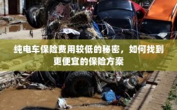 纯电车保险费用较低的秘密揭秘，如何找到更便宜的保险方案？