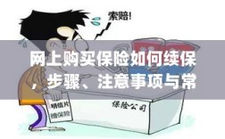 网上保险续保指南，步骤、注意事项及常见问题解答