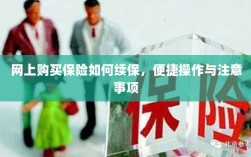 网上保险续保攻略，便捷操作及注意事项