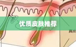 LOL手游换肤攻略，优质皮肤推荐，助你游戏更畅快体验