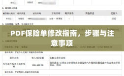 PDF保险单修改指南，步骤详解与注意事项