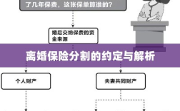 离婚保险分割的约定详解与解析