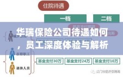 华瑞保险公司员工深度体验，待遇详解与解析