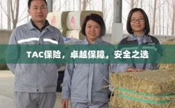 TAC保险，卓越保障，安心之选