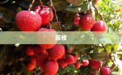 水果价格大跳水，销量激增，商家一上午卖逾两百箱，老板坦言价格日变