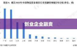 创业企业融资特性概览