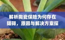 陶瓷保险阻碍解析，原因探究与解决方案探讨