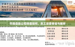 华瑞保险公司员工深度体验，待遇详解与解析