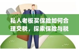 私人老板如何合理交保险税，探索保险与税务的协同之道