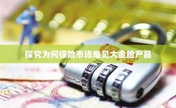大金险产品在保险市场的稀缺原因探究