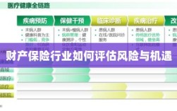 财产保险行业风险与机遇的评估策略