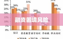 融资困境的风险与挑战，深度剖析潜在影响与应对策略